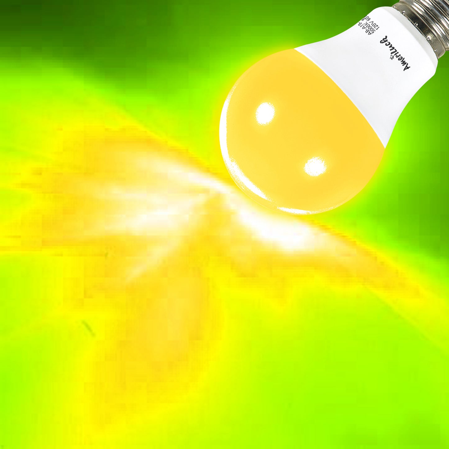 Colored Light LED Bulbs