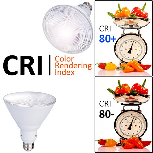 PAR38 Outdoor Flood Light Bulbs (Glass Lens)