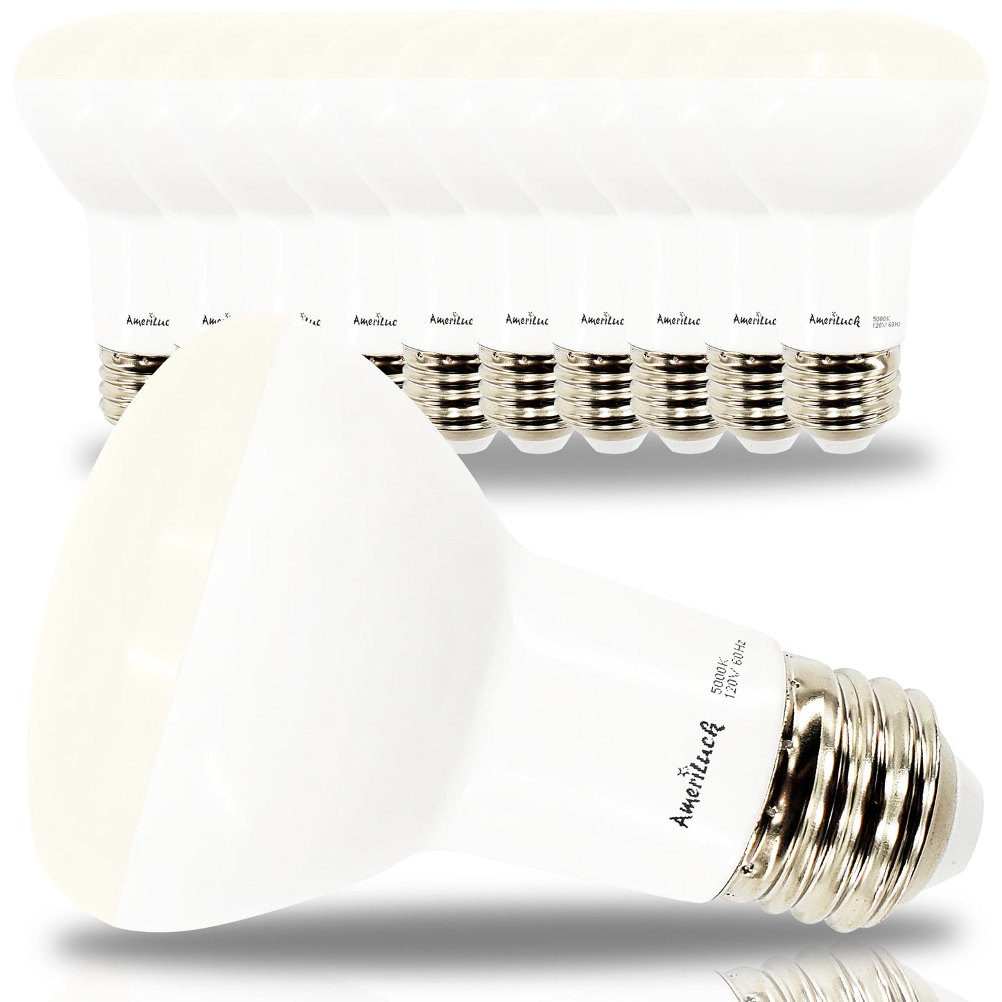 BR20 Flood Light Bulbs (10 Pack Dimmable)