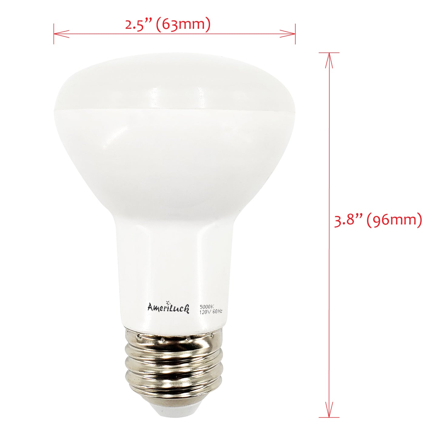 BR20 Flood Light Bulbs (10 Pack Dimmable)