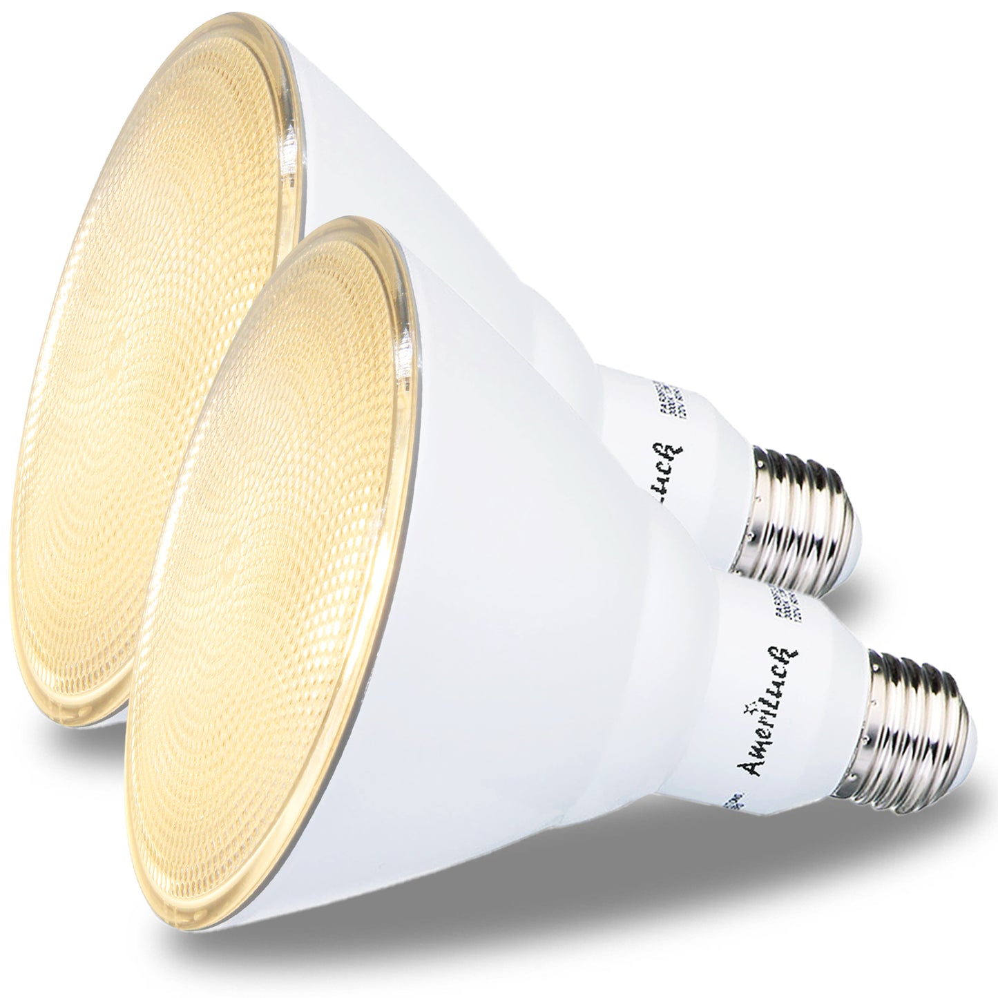 PAR38 Outdoor Flood Light Bulbs (Glass Lens)
