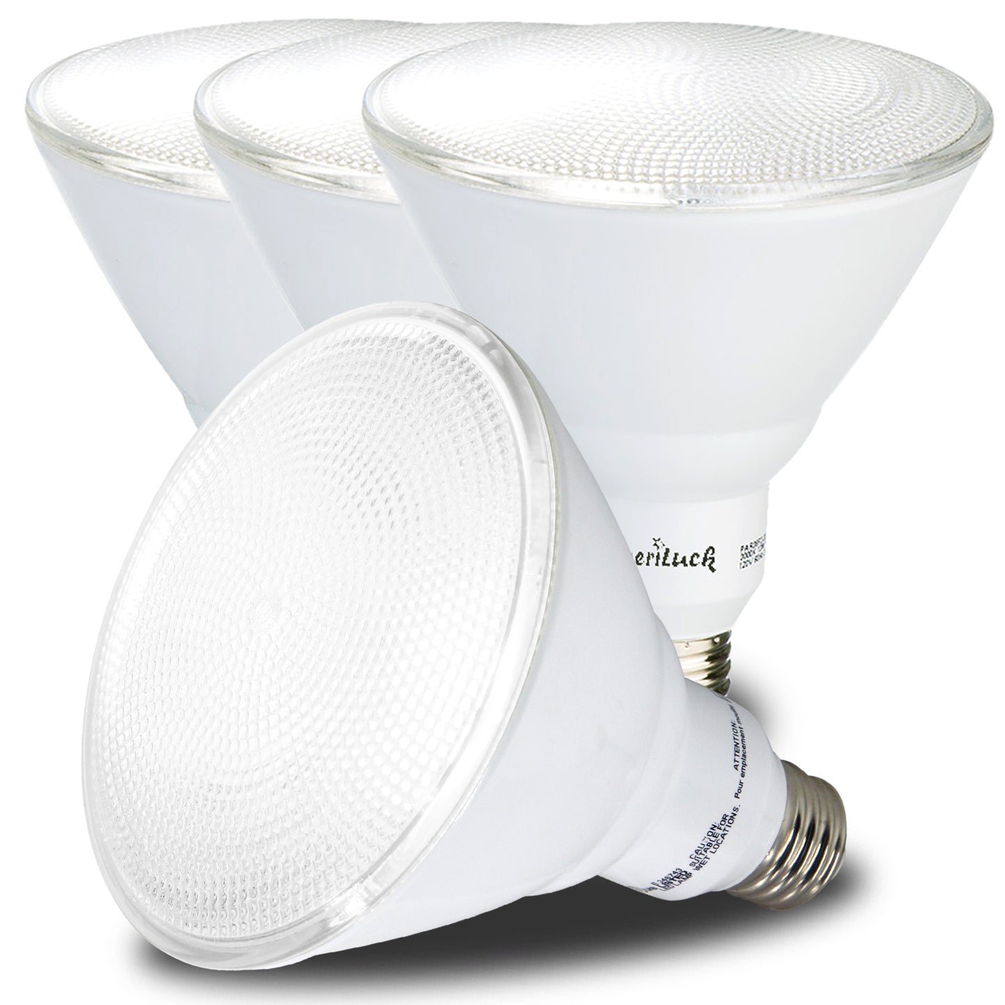 PAR38 Outdoor Flood Light Bulbs (Glass Lens)