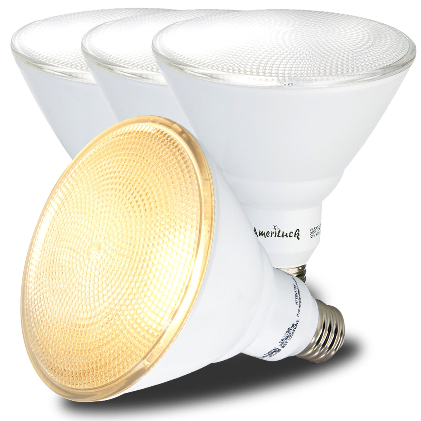 PAR38 Outdoor Flood Light Bulbs (Glass Lens)