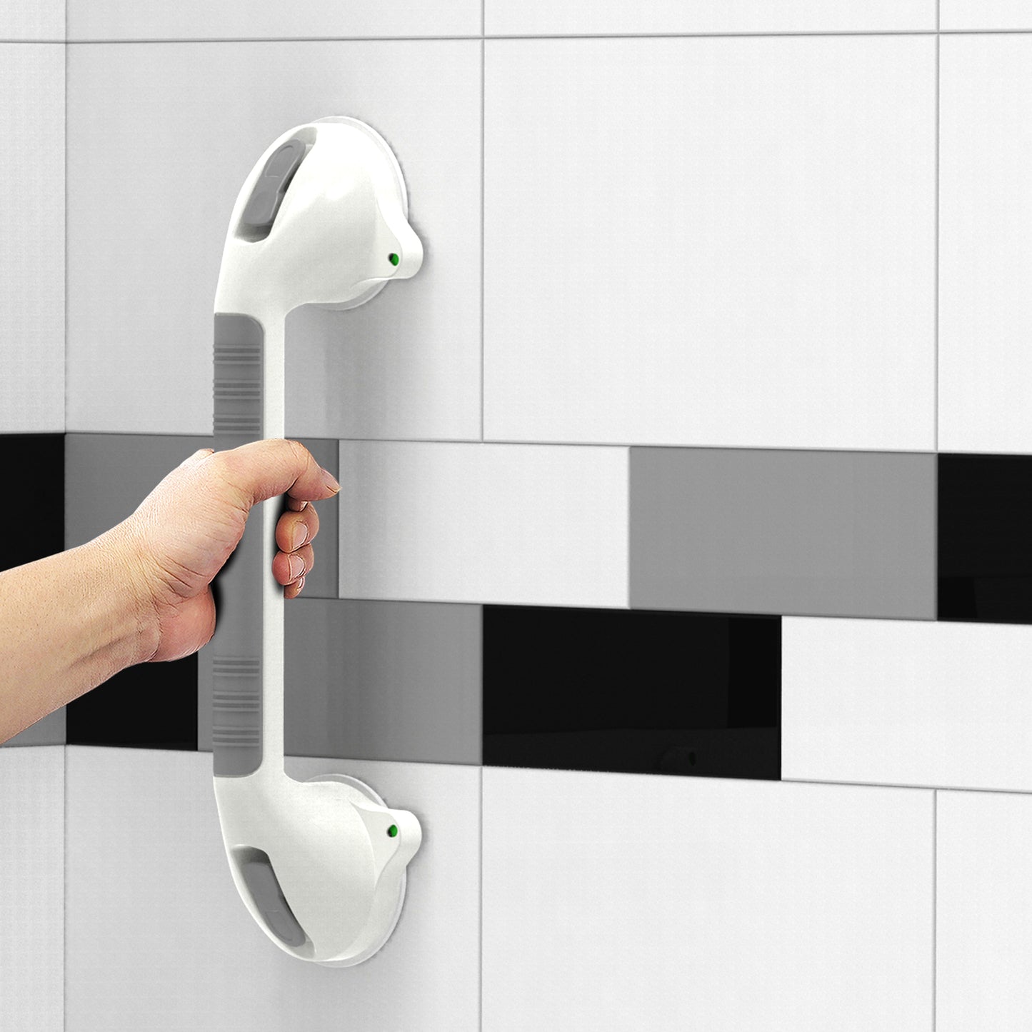 Suction Shower Grab Bars