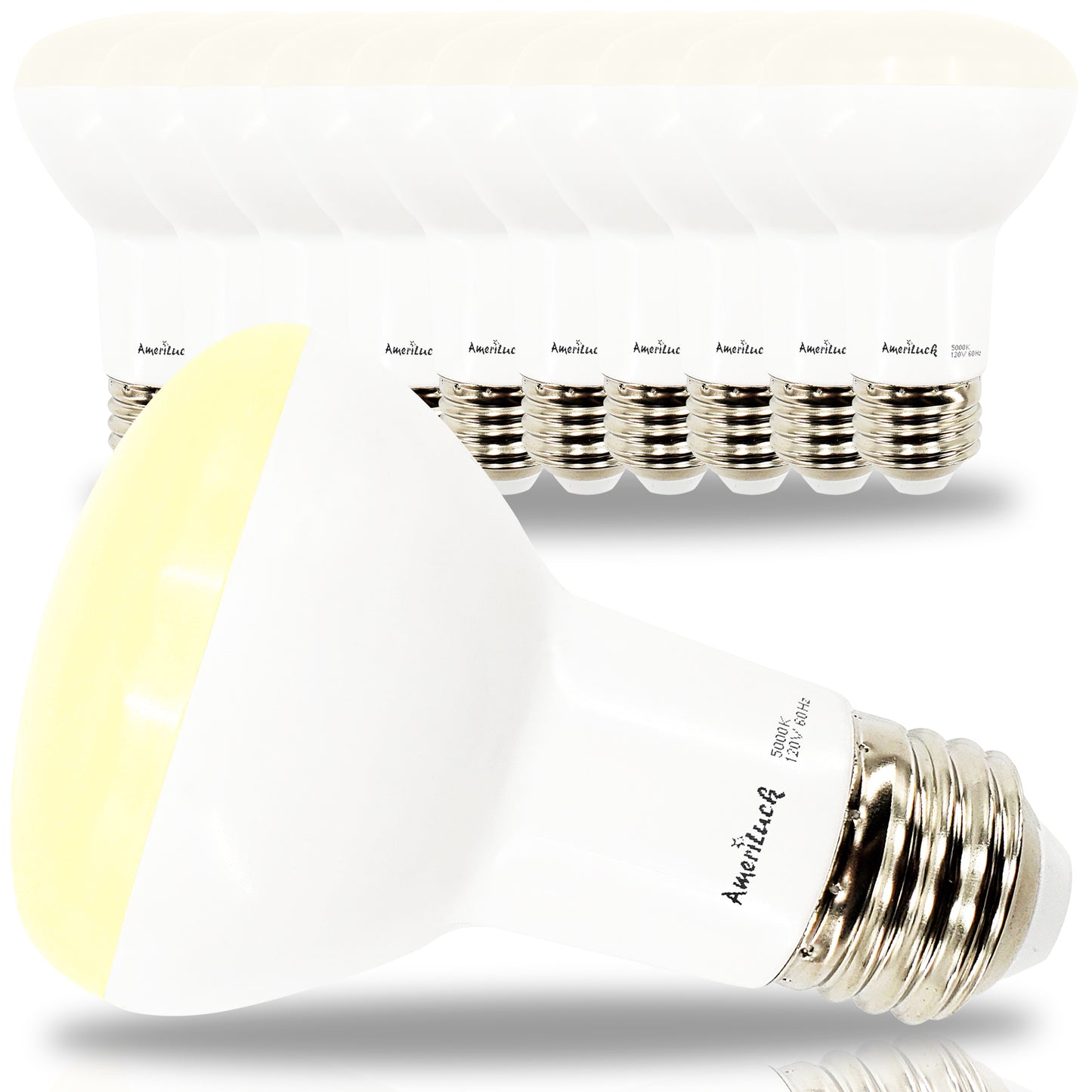 BR20 Flood Light Bulbs (10 Pack Dimmable)