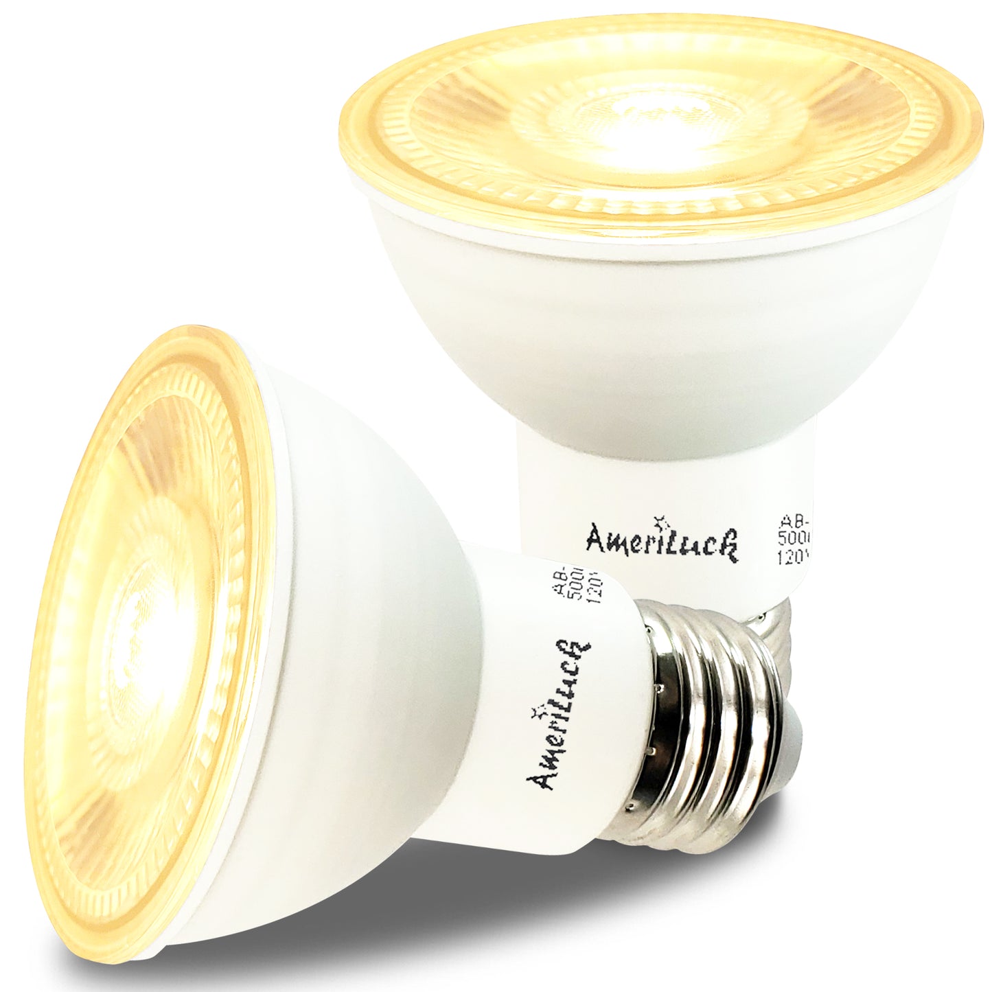 PAR20 LED Light Bulbs