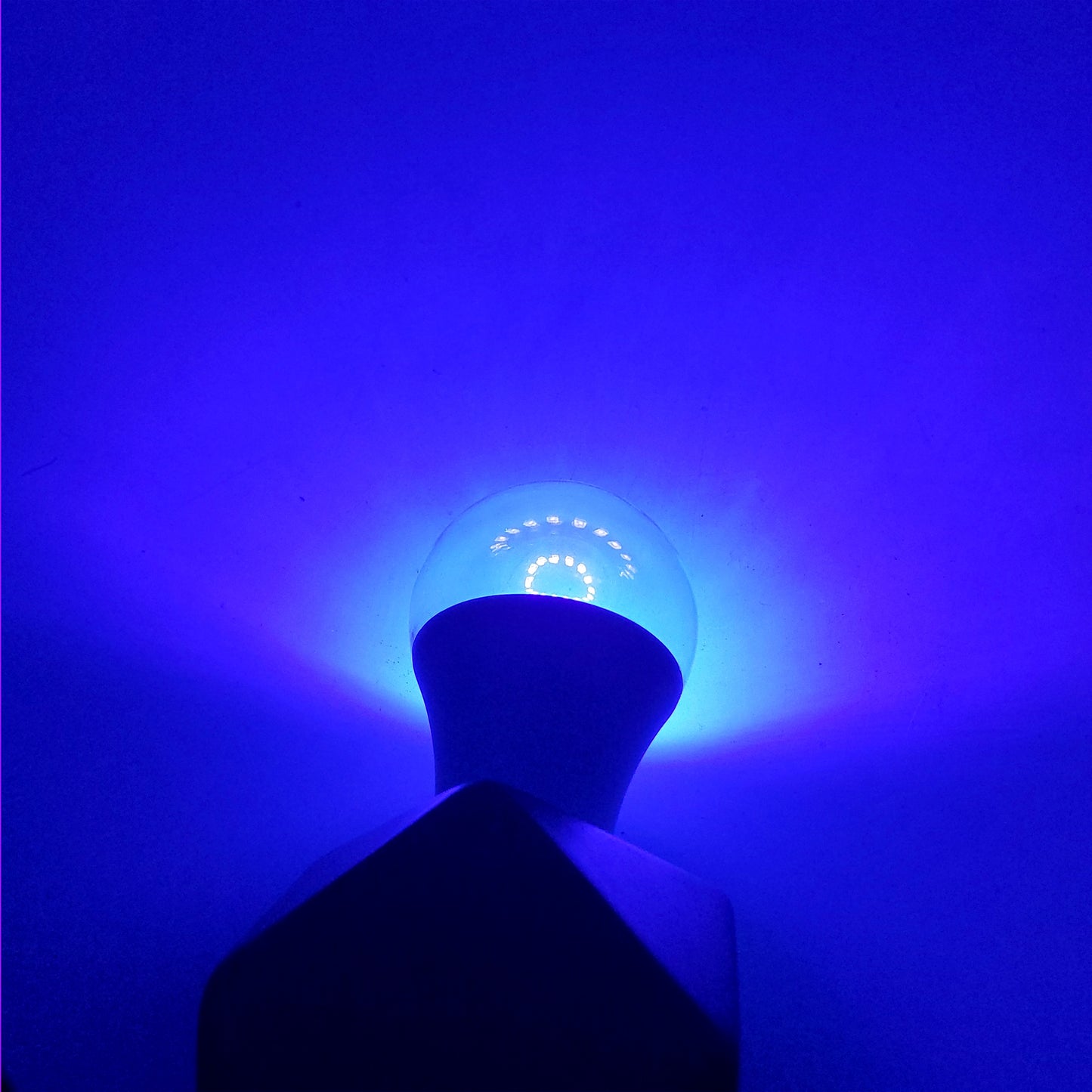 Colored Light LED Bulbs